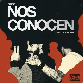 Nos Conocen by Demesé