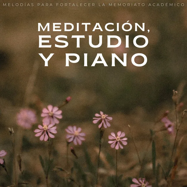 Meditación, Estudio Y Piano: Melodías Para Fortalecer La Memoria