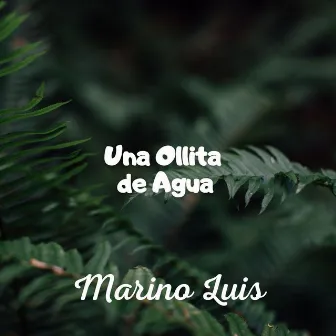 Una Ollita de Agua by Marino Luis