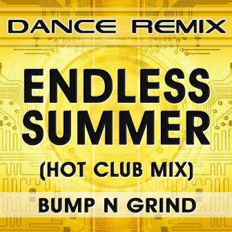 Endless Summer (Hot Club Mix) by Bump n Grind