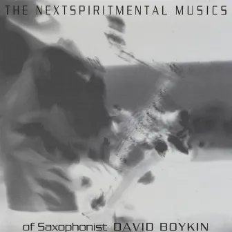 The Nextspiritmental Musics of Saxophonist David Boykin by David Boykin