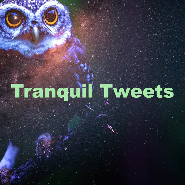 Tranquil Tweets