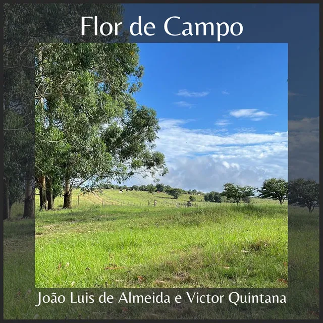 Flor de Campo