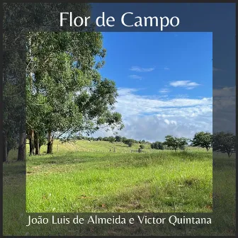 Flor de Campo by Victor Quintana