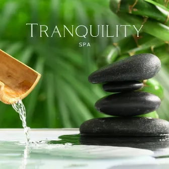 Tranquility Spa: Ultimate Relaxing Piano Music for Wellness with Gentle River Sounds and Birds by Tranquility Area of Zen