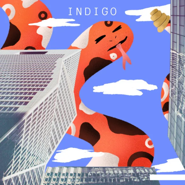 INDIGO