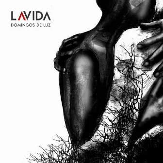 Domingos De Luz by LAVIDA