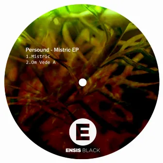 Mistric EP by Persound