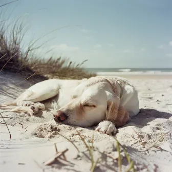 Música Relajante Del Océano Para Relajar A Las Mascotas by Música para cachorros dormidos