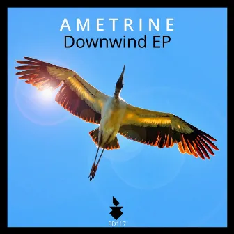 Downwind by Ametrine