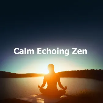 Calm Echoing Zen by Baby Massage Music