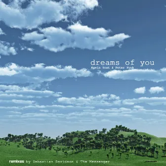 Dreams of You (Remixes) by Peter Funk