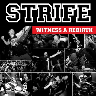 Witness a Rebirth by Strife