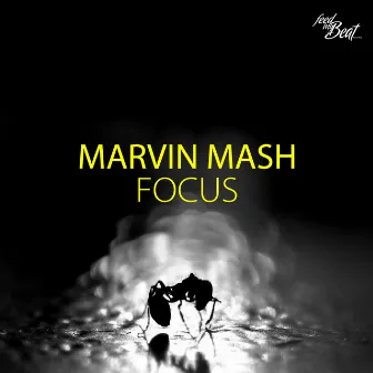 Focus by Marvin Mash