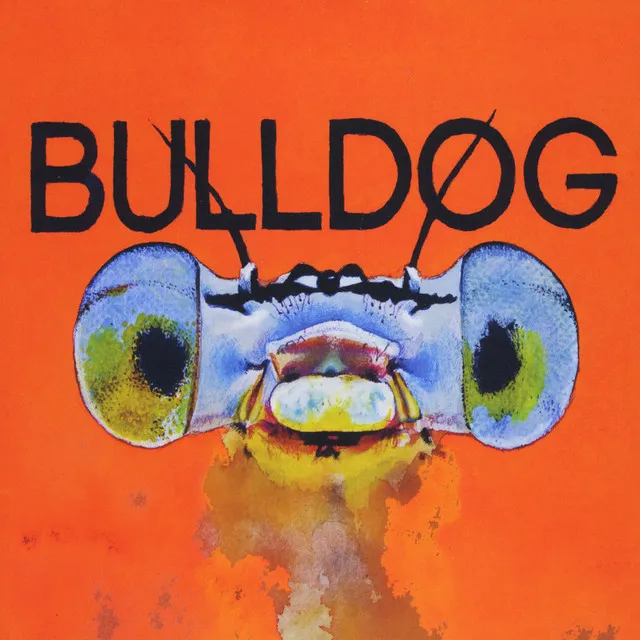 Bulldog