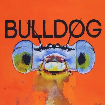 Bulldog by Bulldog