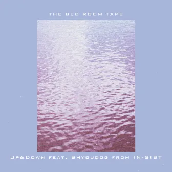 Up&Down by THE BED ROOM TAPE