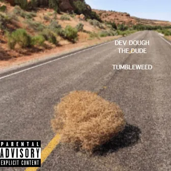 Tumbleweed by Unknown Artist