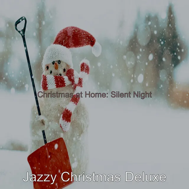 Christmas at Home: Silent Night