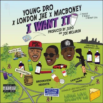 I Want It (feat. Young Dro & London Jae) by Mac Boney