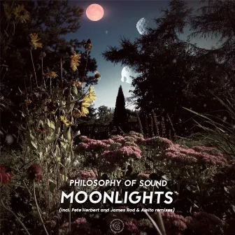 Moonlights by Philosophy Of Sound