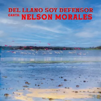 Del Llano Soy Defensor by Nelson Morales