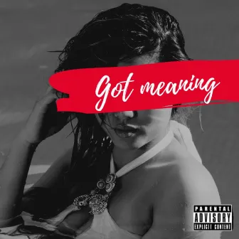 Got Meaning by STAINSBY