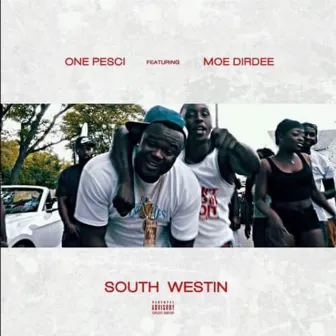 Southwestin by Moe Dirdee