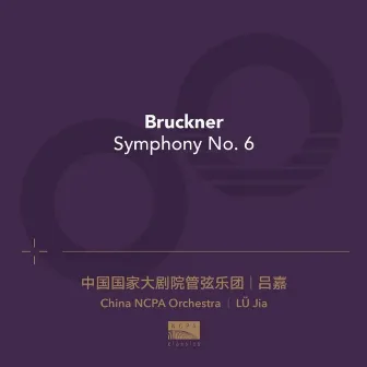 十载嘉音之四：布鲁克纳（Ten Years Of Music Journey 04: Bruckner） by LÜ Jia