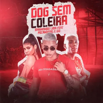 Dog Sem Coleira by Markinhow Lima