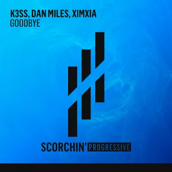 Goodbye by Dan Miles (US)