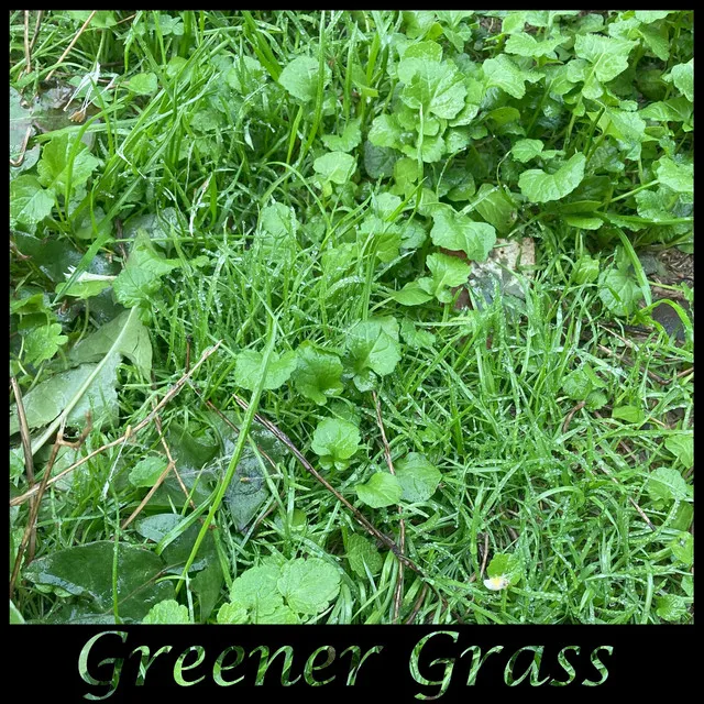 Greener Grass