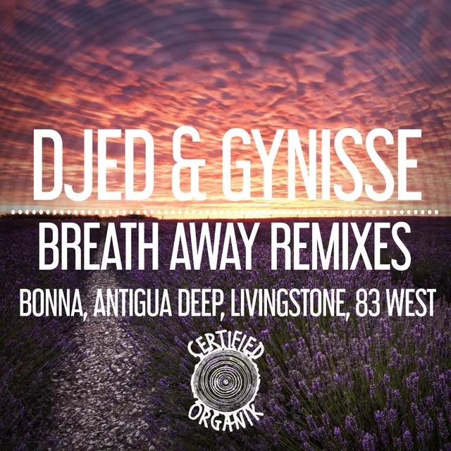 Breath Away Remixes - Antigua Deep Remix