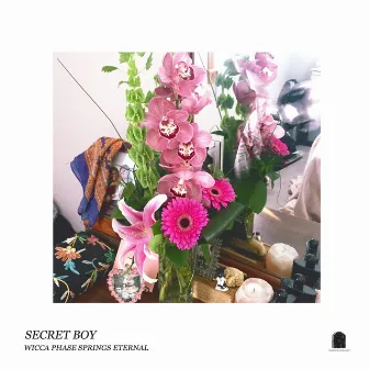 Secret Boy by Wicca Phase Springs Eternal