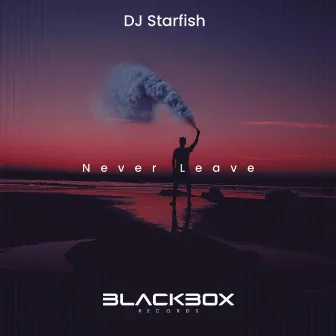 Never Leave by DJ Starfish