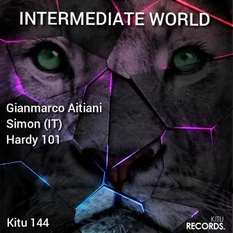 Intermediate World by Gianmarco Aitiani