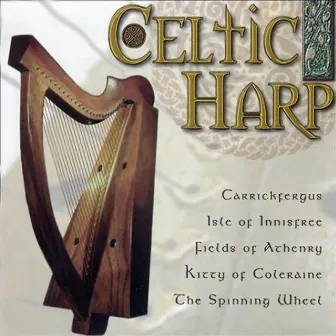 Celtic Harp by Donald Hall