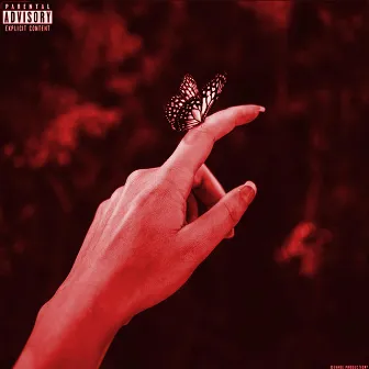 Butterflies by MATWW OFFICIAL