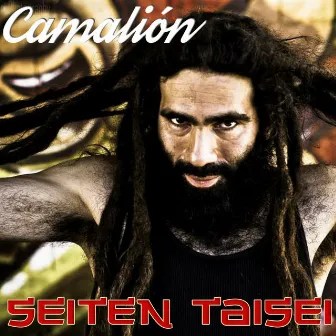 Seiten Taisei by Camalion