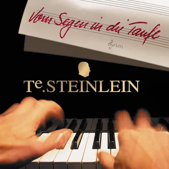 Vom Segen in die Taufe by Thomas Steinlein