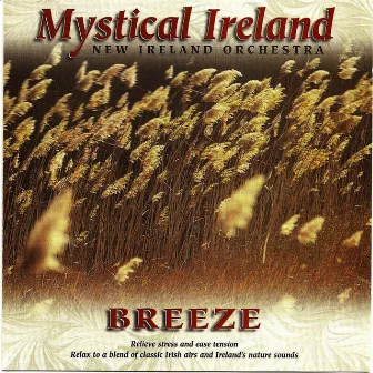 Mystical Ireland - Breeze by New Ireland Orchestra