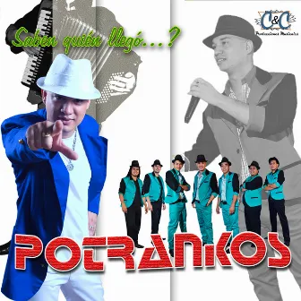 Grandes Hits by Potrankos