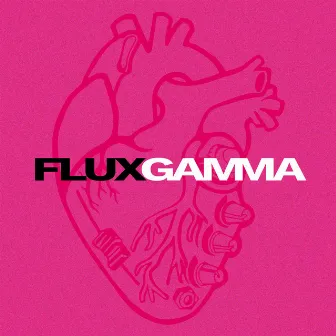 Gamma by Projecte Flux