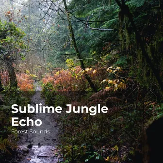 Sublime Jungle Echo by Forest Sounds