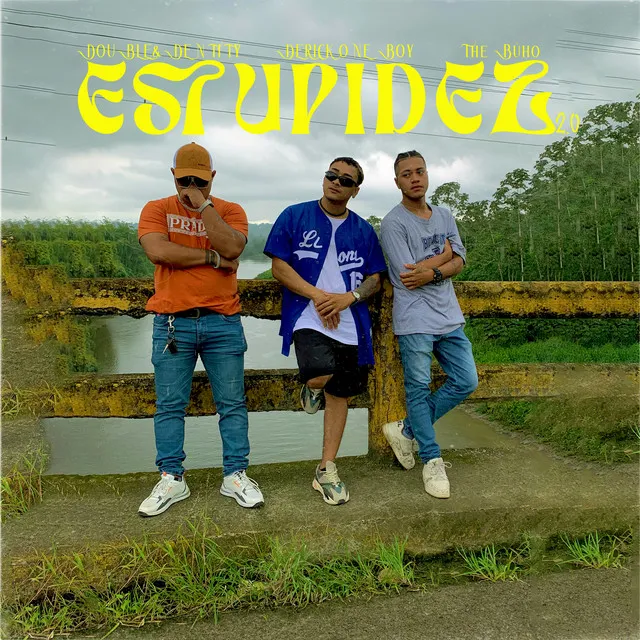 Estupidez (Remix)