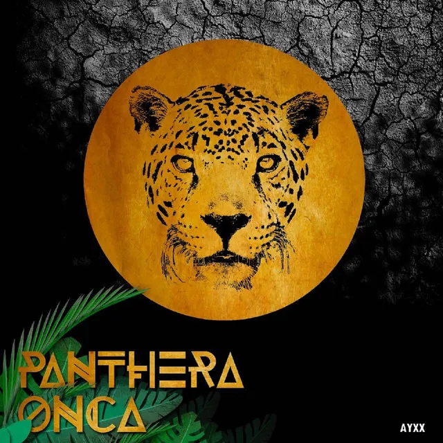 Panthera Onca