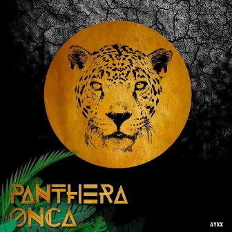 Panthera Onca by Ayxx