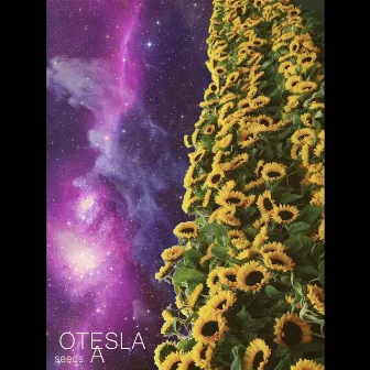 Seeds A by Otesla