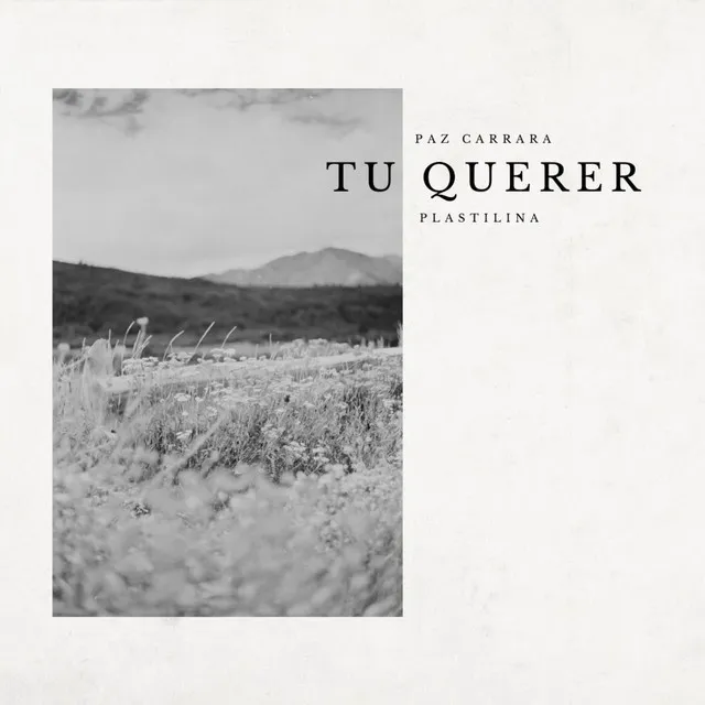 Tu querer - Acústico