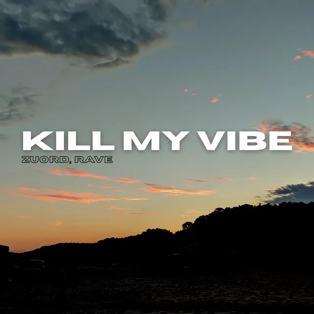 Kill My Vibe